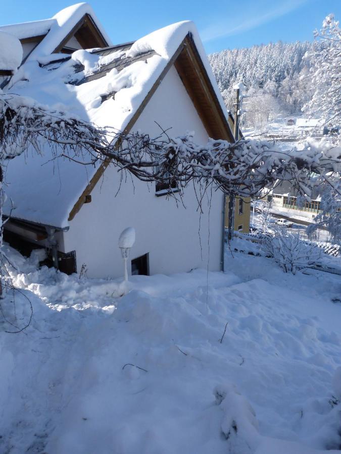 Vila Erzgebirgshuette Pobershau Exteriér fotografie